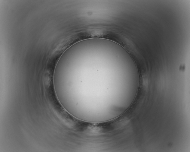 X0000112880311200908281643