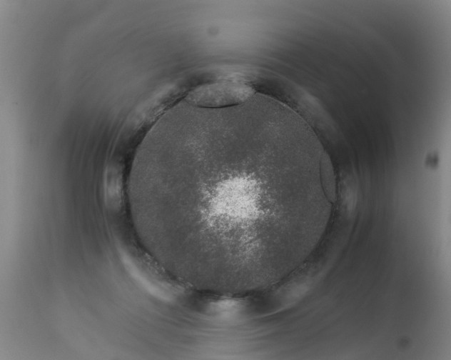 X0000112880312200908281643