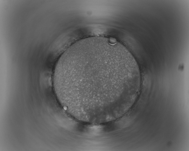 X0000112880313200908281643