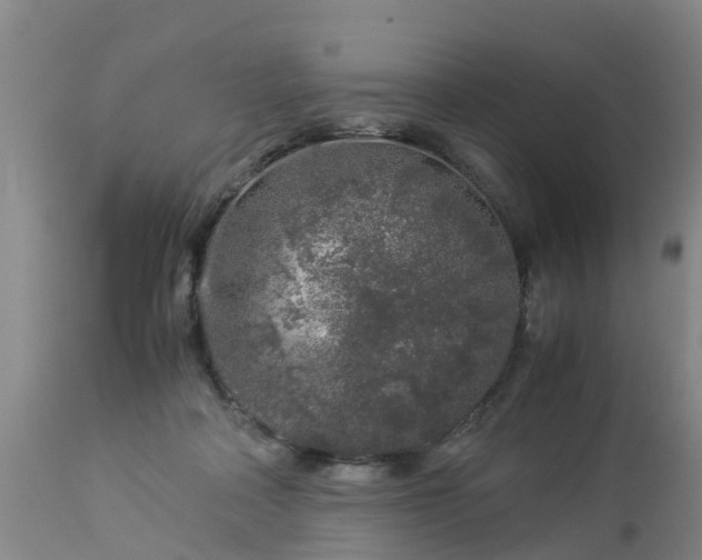 X0000112880314200908281643