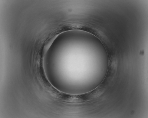 X0000112880315200908281643