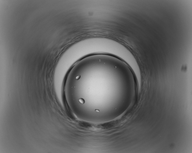 X0000112880317200908281643