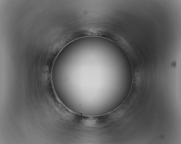 X0000112880318200908281643