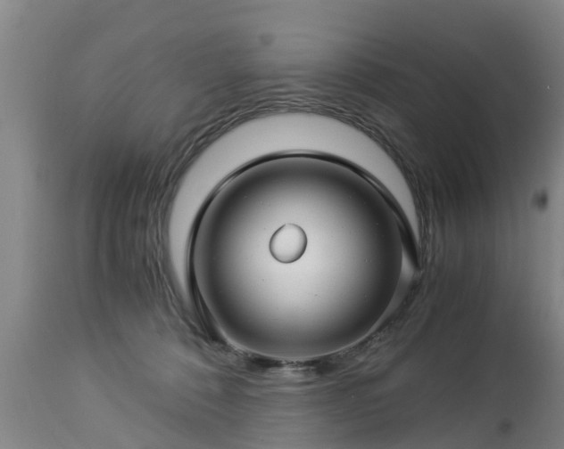 X0000112880320200908281643