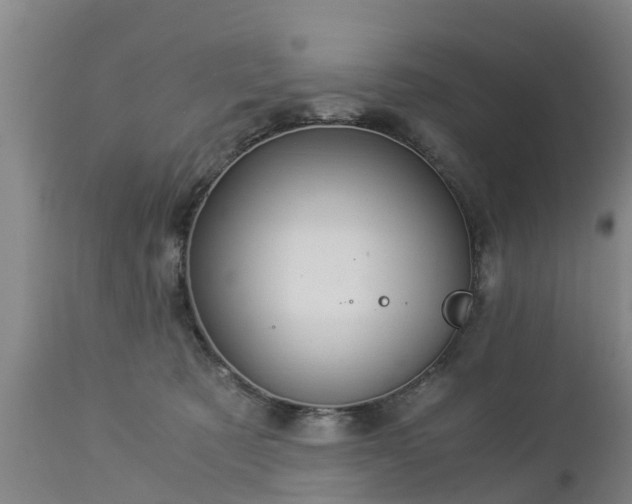 X0000112880321200908281643