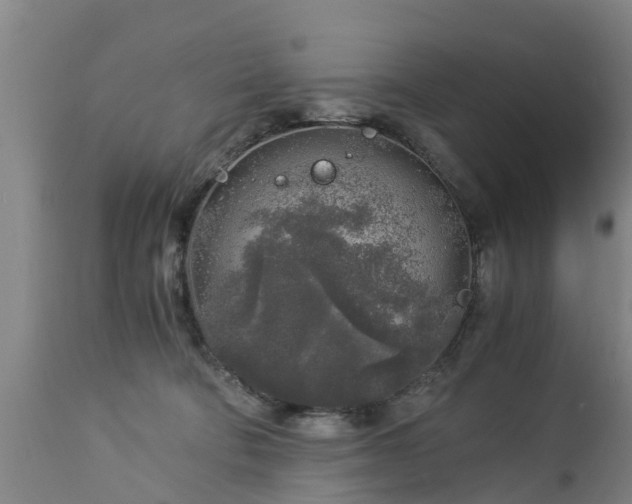 X0000112880322200908281643