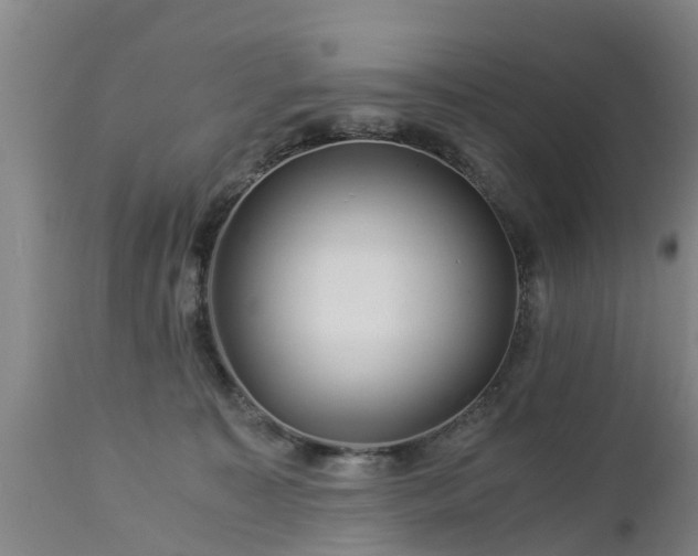 X0000112880323200908281643