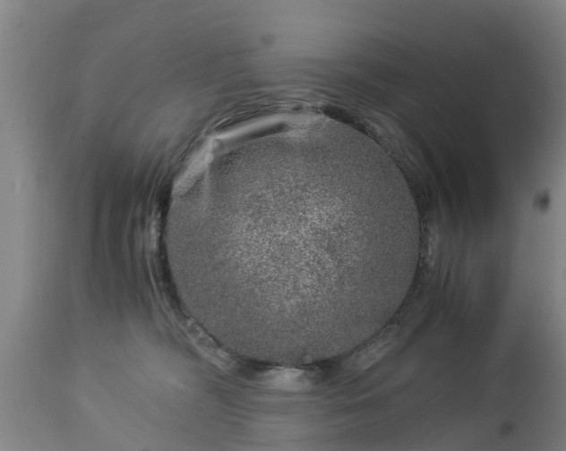 X0000112880326200908281643