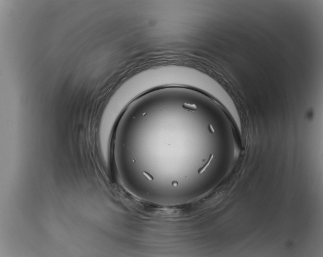 X0000112880328200908281643