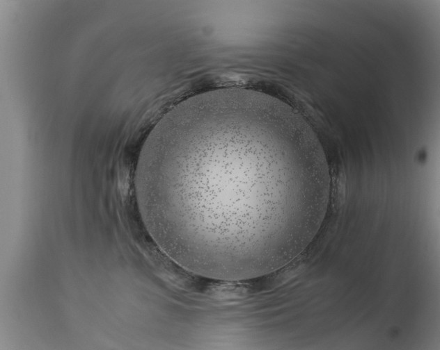 X0000112880331200908281643