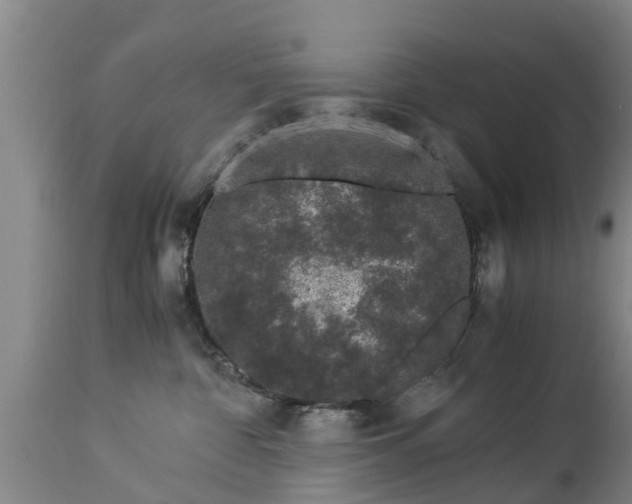 X0000112880332200908281643