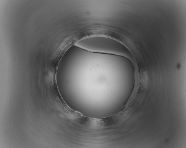 X0000112880333200908281643