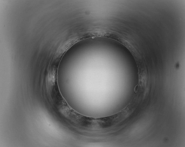 X0000112880334200908281643