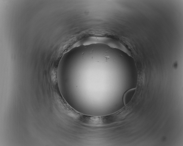 X0000112880335200908281643