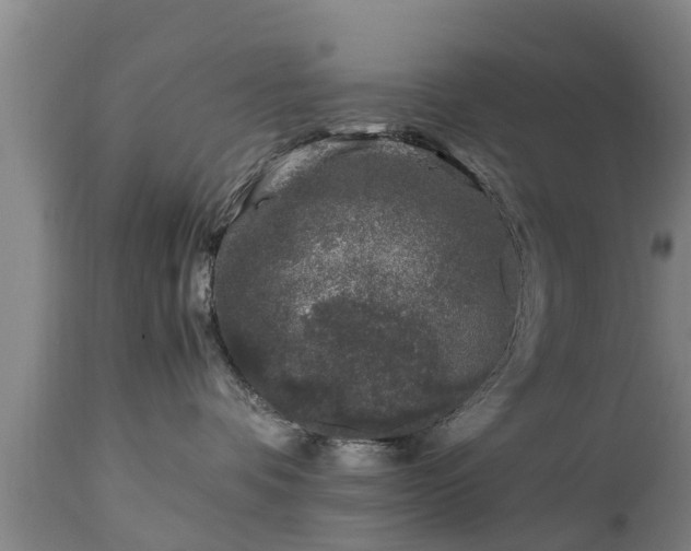 X0000112880336200908281643