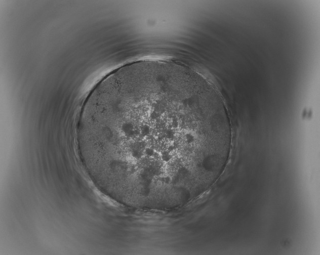 X0000112880337200908281642