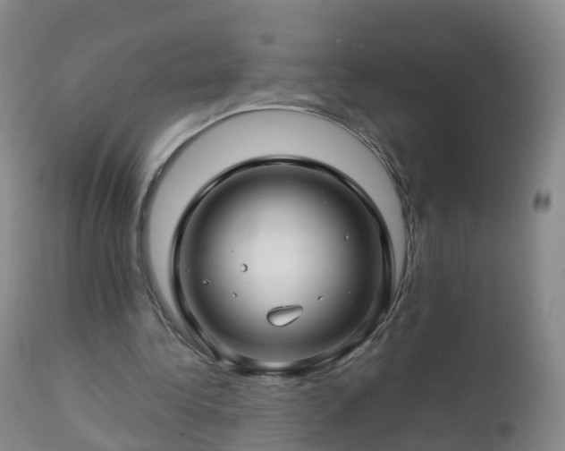 X0000112880340200908281642