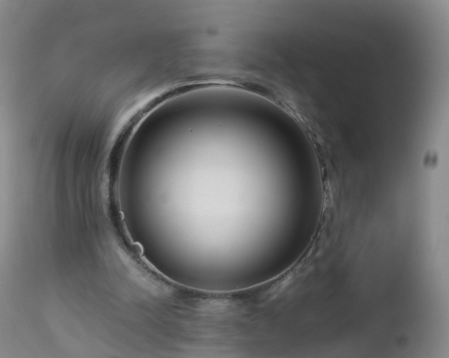 X0000112880342200908281642