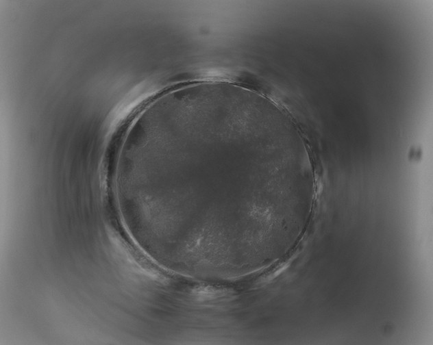 X0000112880343200908281642