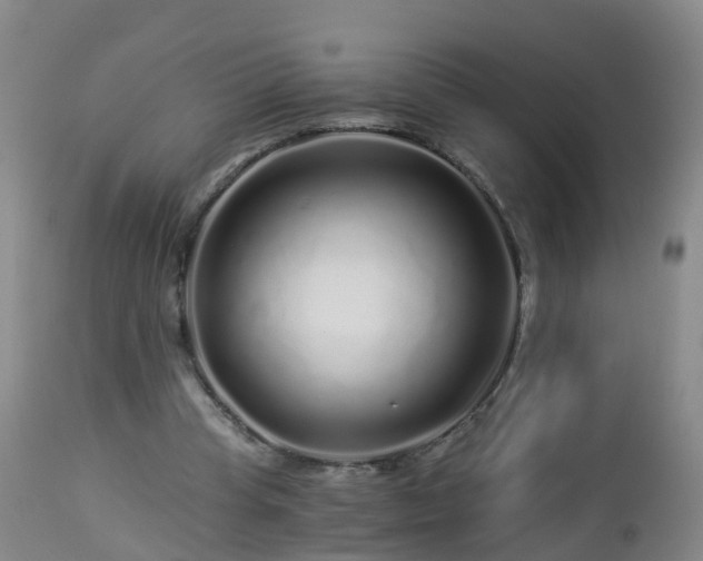 X0000112880345200908281642