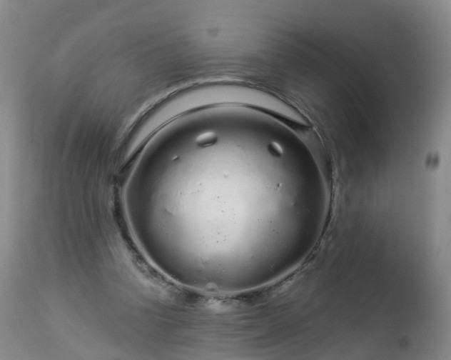 X0000112880346200908281642