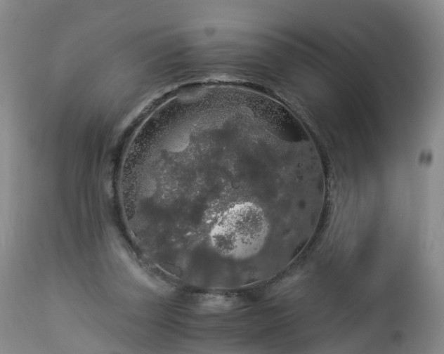 X0000112880347200908281642