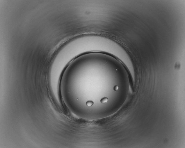 X0000112880348200908281642