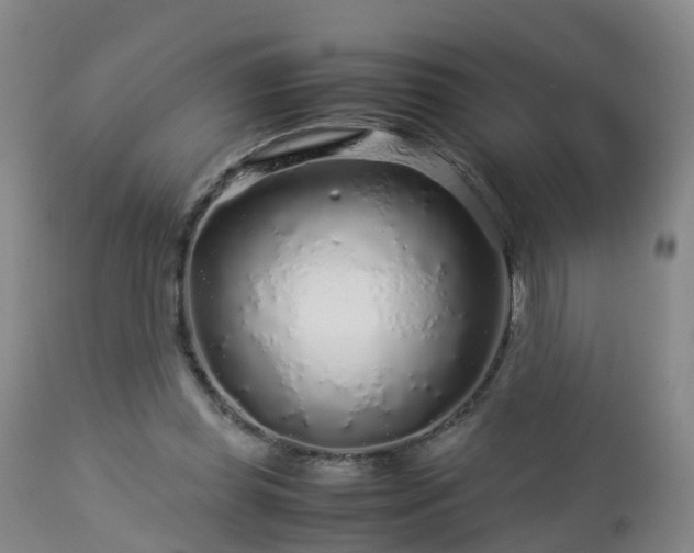 X0000112880349200908281642