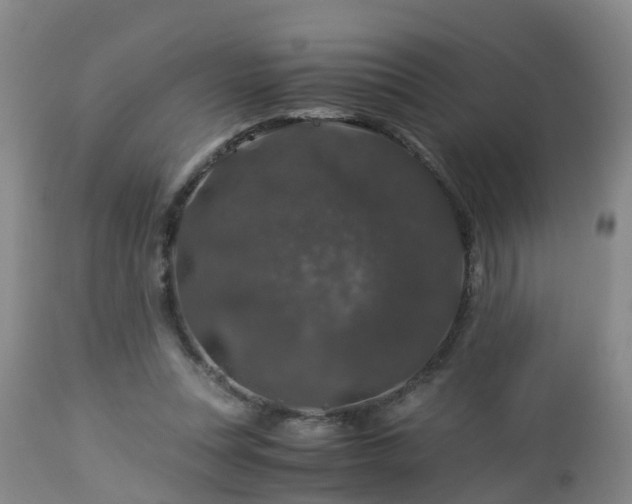 X0000112880351200908281642