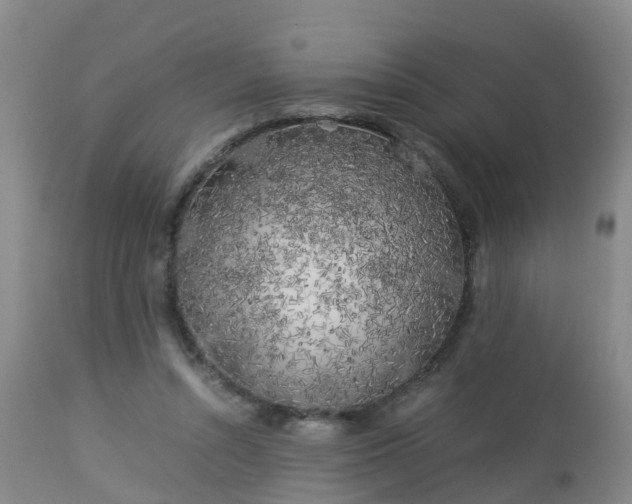 X0000112880352200908281642