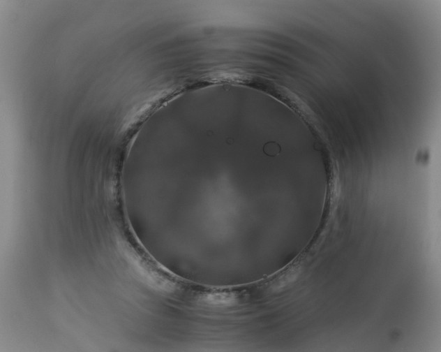 X0000112880353200908281642