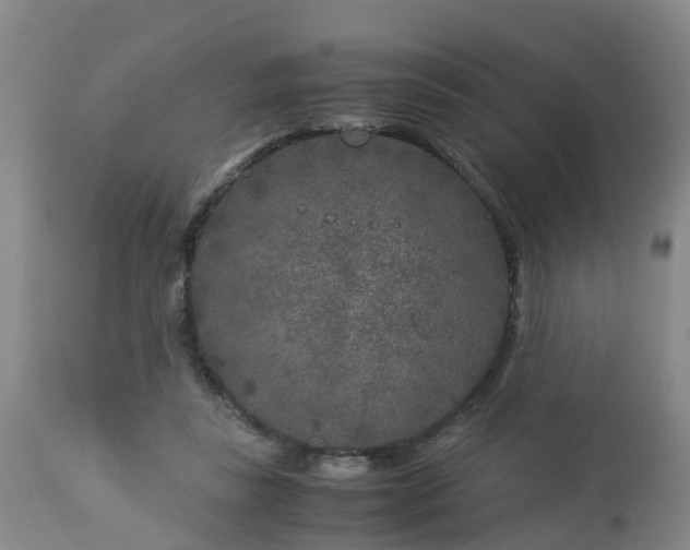 X0000112880355200908281642