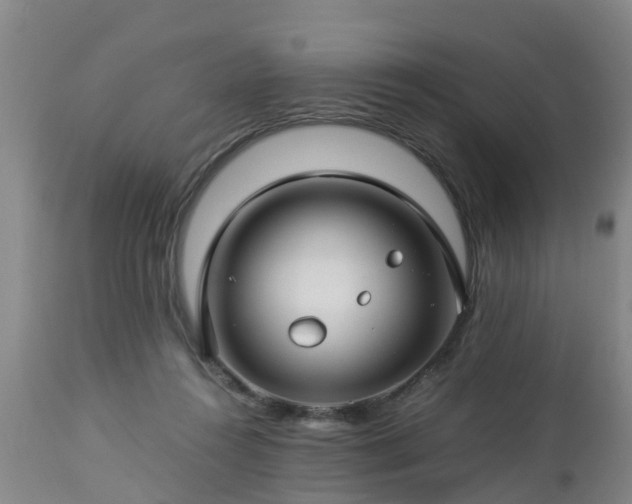 X0000112880360200908281642