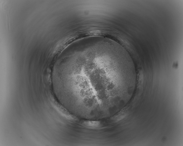 X0000112880361200908281642