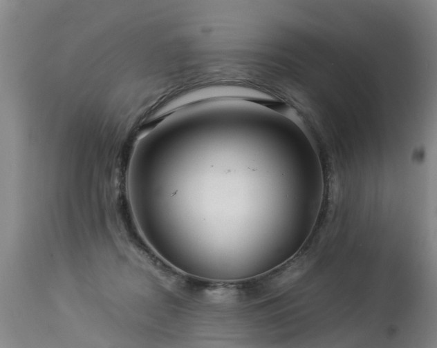 X0000112880362200908281642