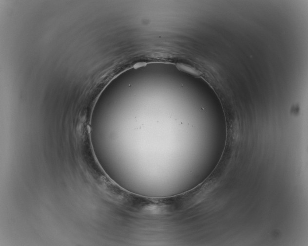 X0000112880364200908281642