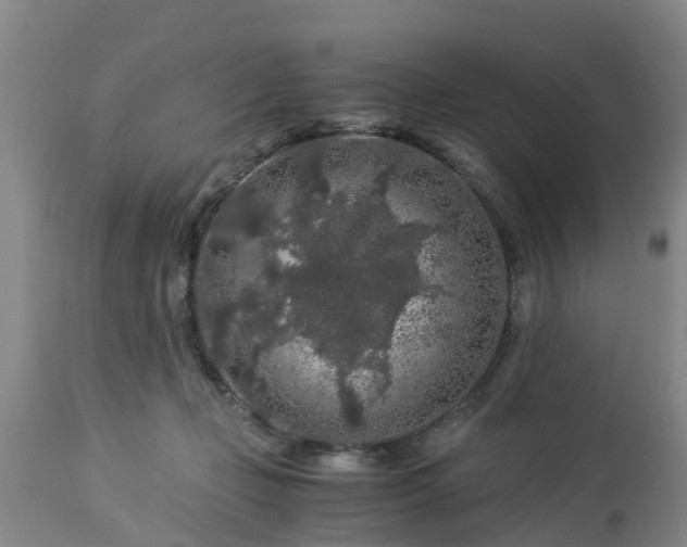 X0000112880365200908281642