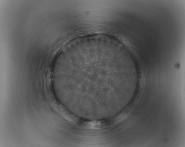 X0000112880366200908281642