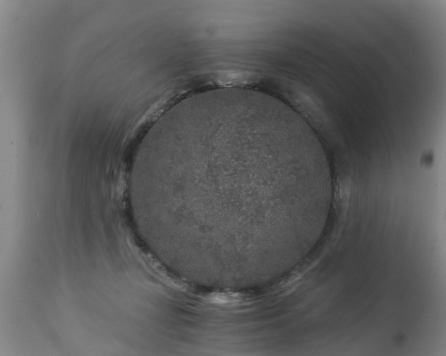 X0000112880367200908281642