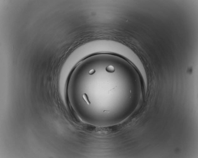 X0000112880368200908281642