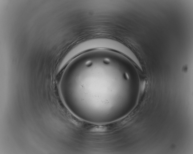 X0000112880369200908281643