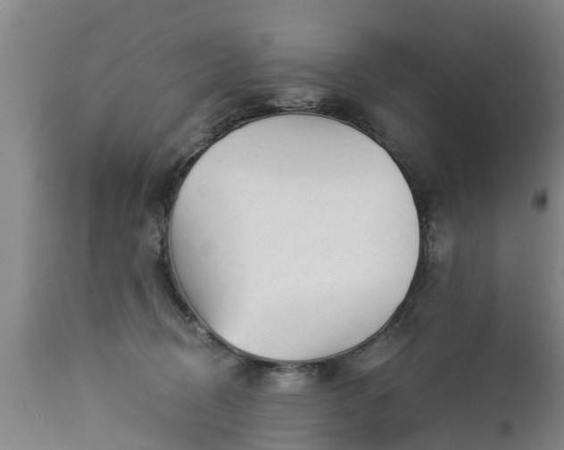 X0000112880370200908281643