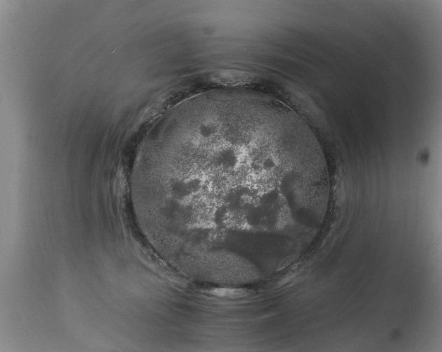 X0000112880371200908281643