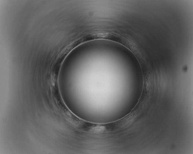 X0000112880374200908281643