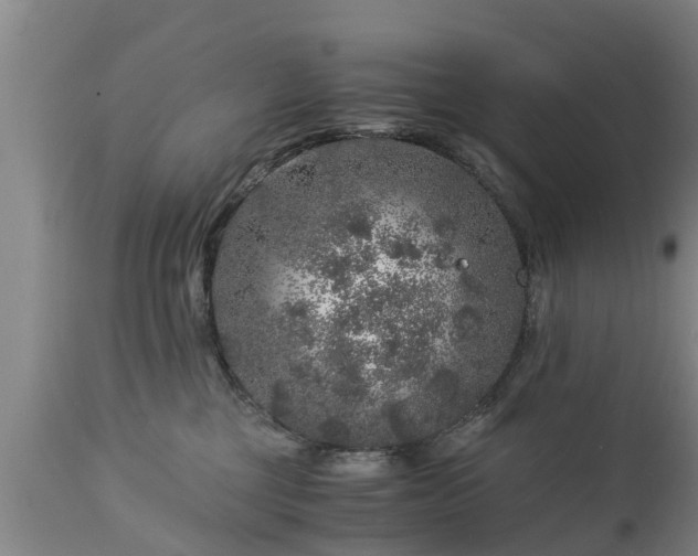 X0000112880377200908281643