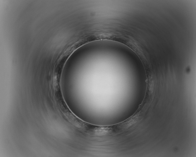 X0000112880378200908281643