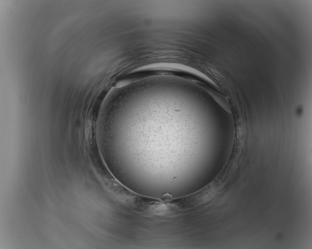 X0000112880379200908281643