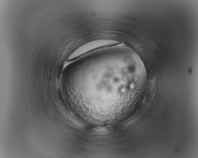 X0000112880381200908281643