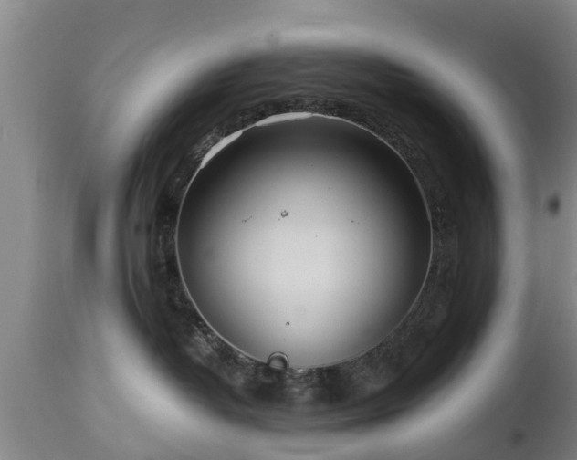 X0000112880382200908281643