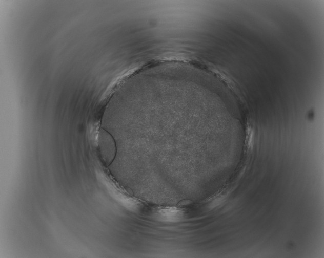 X0000112880383200908281643